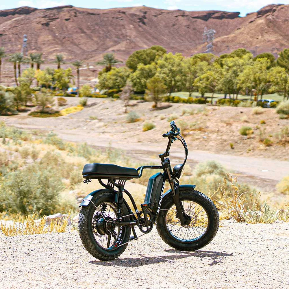 NAKTO F2 Fat Tire Electric Bike, 500W Motor, 20 x 4-Inch Tires