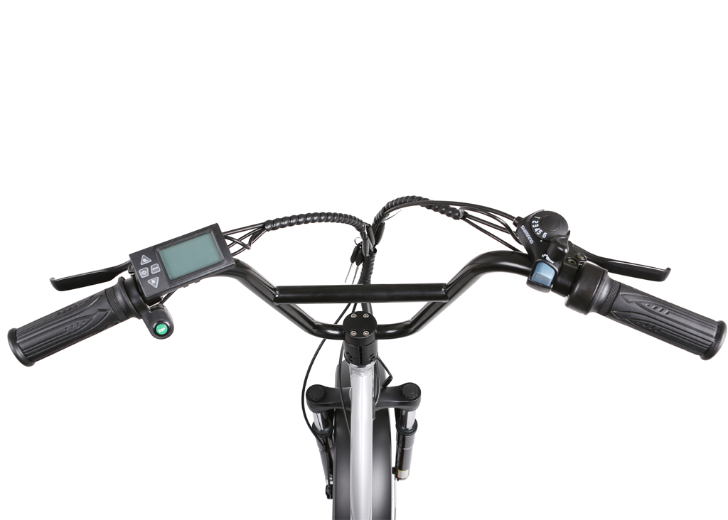 NAKTO 20-Inch Folding Fat Tire Electric Bike, 500W Motor, 48V Battery