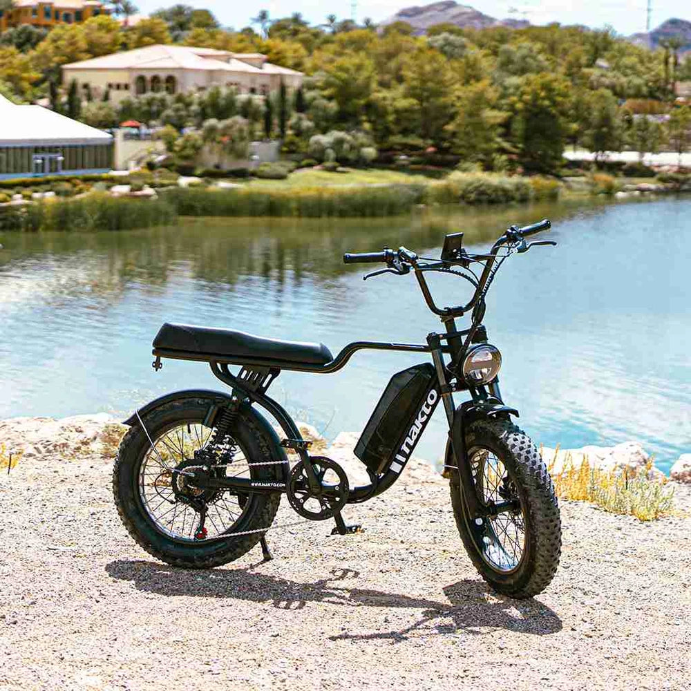 NAKTO F2 Fat Tire Electric Bike, 500W Motor, 20 x 4-Inch Tires
