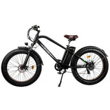 NAKTO 26-Inch Cruiser 2 Electric Bike, 750W Brushless Motor, 48V Battery