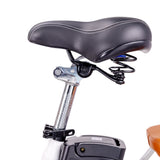 NAKTO 22-Inch Elegance 2 Electric Bike, 500W Brushless Motor, 48V