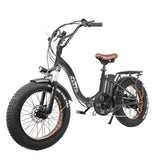 NAKTO 20-Inch Folding Fat Tire Electric Bike, 500W Motor, 48V Battery