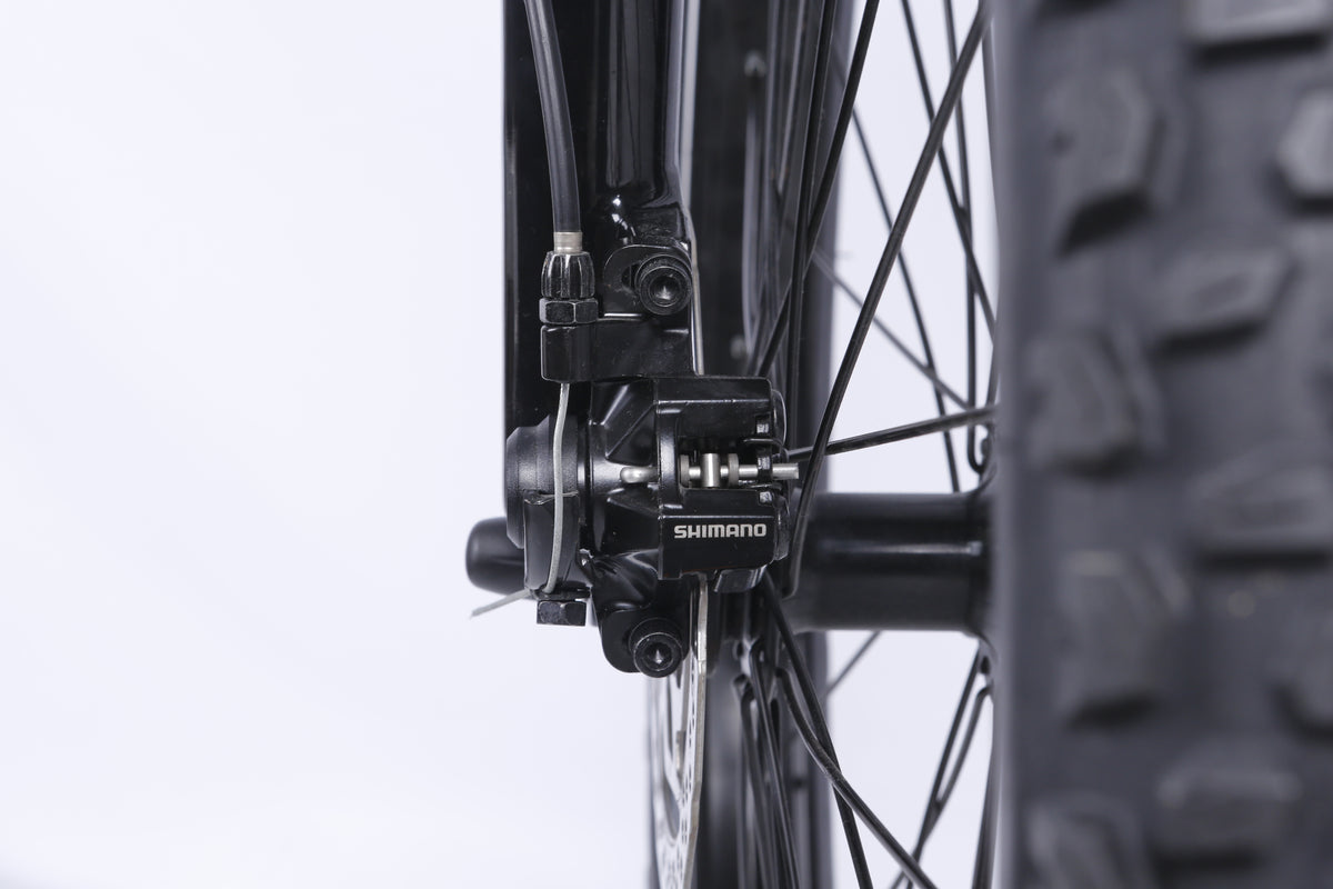 NAKTO 26-Inch Santa Monica Fat Tire Electric Bike, 500W Motor