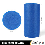 CanDo Blue PE Foam Rollers for Fitness, Exercise Muscle Restoration, Massage Therapy, Sport Recovery and Physical Therapy for Homes, Clinics, and Gyms 6 " x 12" Round