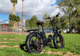 NAKTO 20-Inch Folding Fat Tire Electric Bike, 500W Motor, 48V Battery