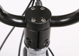 NAKTO 20-Inch Folding Fat Tire Electric Bike, 500W Motor, 48V Battery
